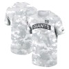 Men's New York Giants Arctic Camo 2024 Salute To Service Performance T-Shirt