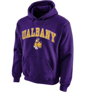 Albany Great Danes Midsize Arch Pullover Hoodie Purple Albany Great Danes Midsize Arch Pullover Hoodie Purple