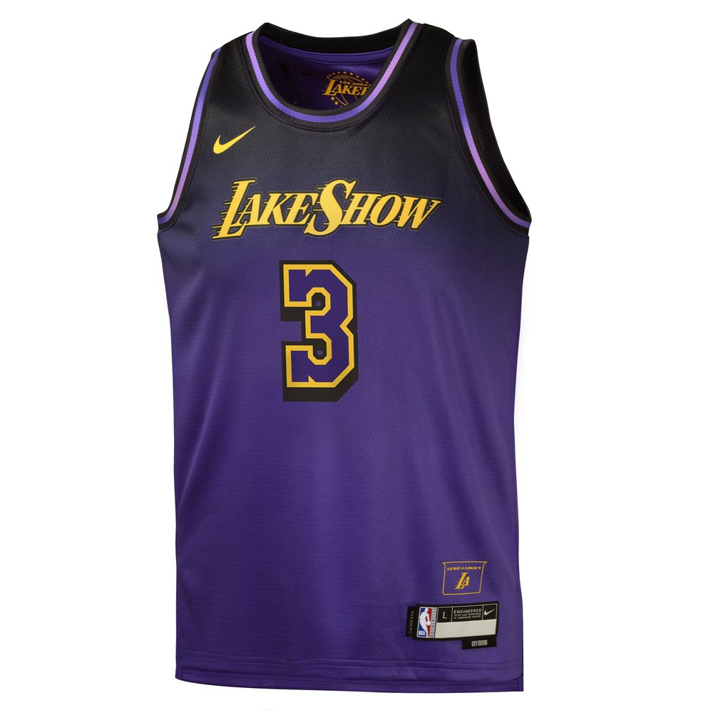 Youth Los Angeles Lakers #3 Anthony Davis Purple 2024/25 Swingman Player City Edition Jersey