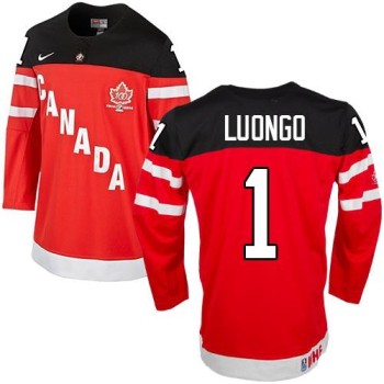 Olympic CA. #1 Roberto Luongo Red 100th Anniversary Stitched NHL Jersey Olympic CA. #1 Roberto Luongo Red 100th Anniversary Stitched NHL Jersey