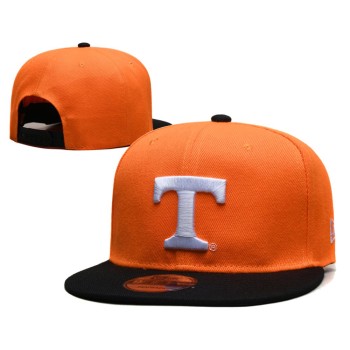 Texas Rangers Snapback Hat Texas Rangers Snapback Hat