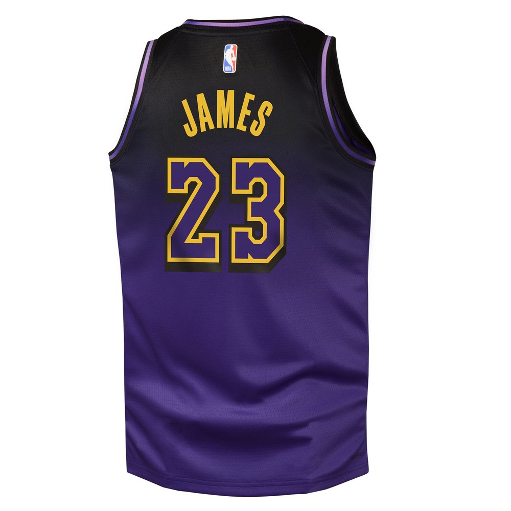 Youth Los Angeles Lakers #23 LeBron James Purple 2024/25 Swingman City Edition Player Jersey