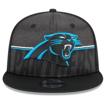 Carolina Panthers Snapback Hat
