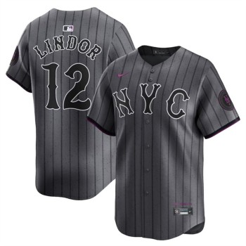 Youth New York Mets #12 Francisco Lindor Graphite 2024 City Connect Limited Stitched Baseball Jersey Youth New York Mets #12 Francisco Lindor Graphite 2024 City Connect Limited Stitched Baseball Jersey