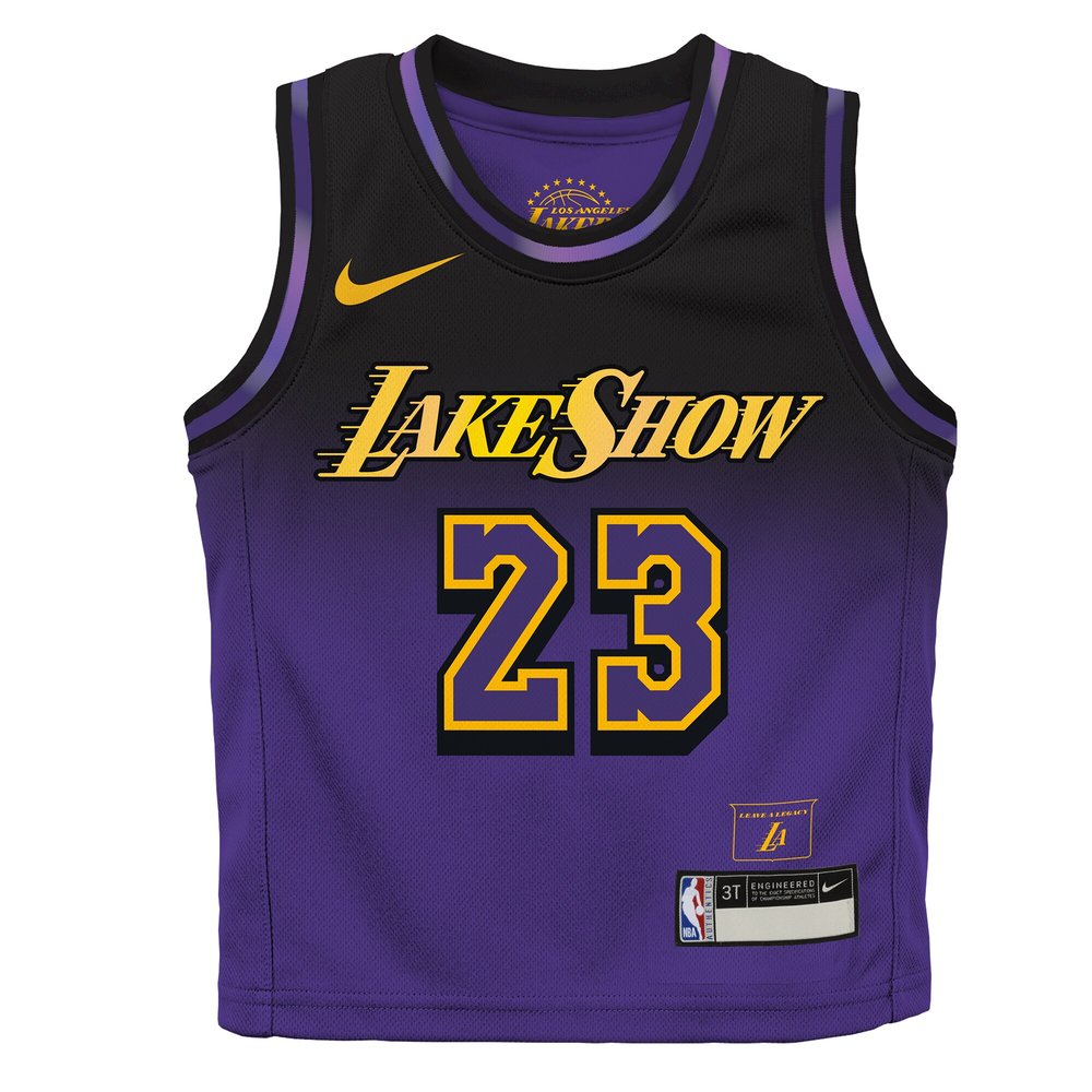 Toddler Los Angeles Lakers #23 LeBron James Purple 2024/25 Swingman City Edition Player Jersey