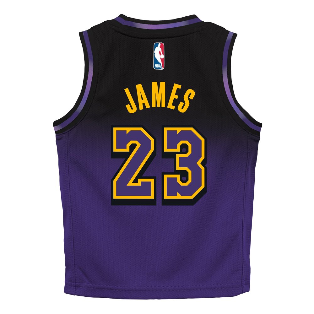 Toddler Los Angeles Lakers #23 LeBron James Purple 2024/25 Swingman City Edition Player Jersey