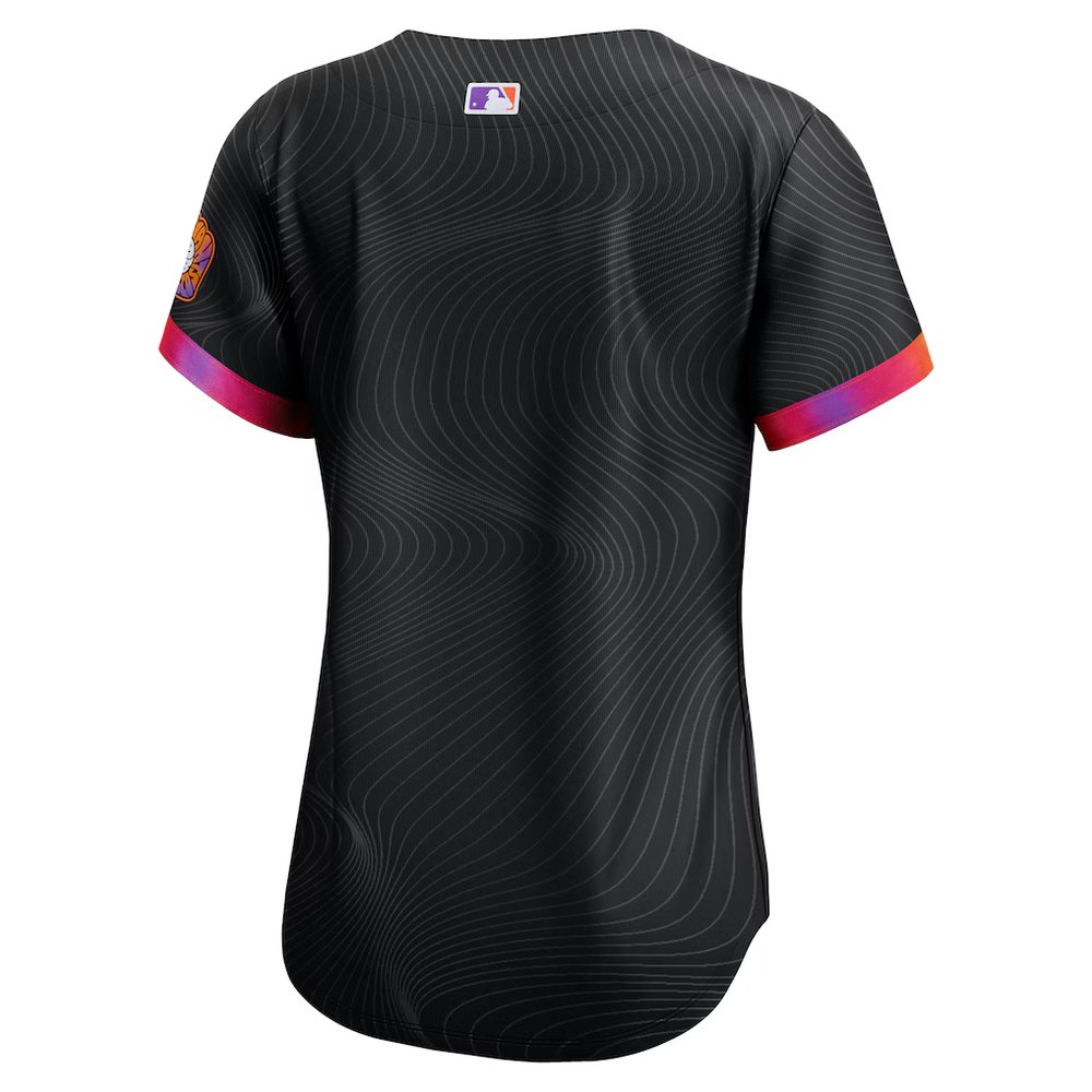 Women's San Francisco Giants Nike Anthracite 2025 City Connect Limited Jersey