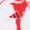 Men's Olympiacos Away Replica Soccer Jersey 2025/26