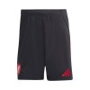 Men's Liverpool Away Soccer Shorts 2025/26