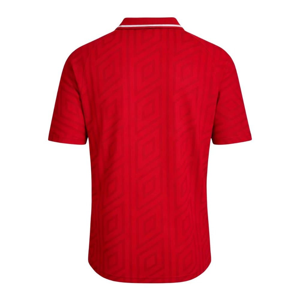 Men's Wales Home Retro Soccer Jersey 1992/94