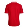Men's Wales Home Retro Soccer Jersey 1992/94
