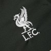 Men's Luis Díaz #7 Liverpool Away Replica Soccer Jersey 2024/25 Men's Luis Díaz #7 Liverpool Away Replica Soccer Jersey 2024/25