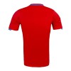 Men's Spain Home World Cup Retro Soccer Jersey 2010