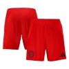 Men's Bayern Munich Home Soccer Shorts 2024/25