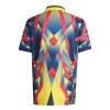 Men's Arsenal Special Replica Soccer Jersey 2025/26 Men's Arsenal Special Replica Soccer Jersey 2025/26