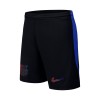 Men's Barcelona Away Soccer Shorts 2024/25