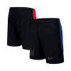 Men's Barcelona Away Soccer Shorts 2024/25
