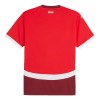 Men's Switzerland Home Replica Soccer Jersey EURO 2024 Men's Switzerland Home Replica Soccer Jersey EURO 2024