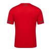 Men's Portugal Home Retro Soccer Jersey 2010