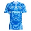 Men's Tigres UANL Away Replica Soccer Jersey 2025/26