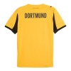 Men's Borussia Dortmund Cup Replica Jersey 2025/26 Men's Borussia Dortmund Cup Replica Jersey 2025/26