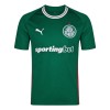 Men's SE Palmeiras Home Replica Soccer Jersey 2026/27