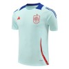 Men's Spain Pre-Match Replica Soccer Jersey EURO Blue 2024