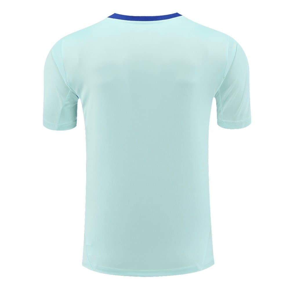 Men's Spain Pre-Match Replica Soccer Jersey EURO Blue 2024
