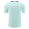 Men's Spain Pre-Match Replica Soccer Jersey EURO Blue 2024