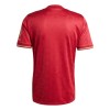 Men's Bayern Munich Replica Soccer Jersey -125th Anniversary 2024/25 Men's Bayern Munich Replica Soccer Jersey -125th Anniversary 2024/25