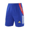 Men's Spain Pre-Match Soccer Shorts 2024