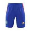 Men's Spain Pre-Match Soccer Shorts 2024