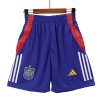 Men's Spain Pre-Match Soccer Shorts 2024