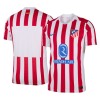 Men's Atletico Madrid Home Authentic Jersey 2025/26 Men's Atletico Madrid Home Authentic Jersey 2025/26