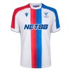 Men's Crystal Palace Third Away Replica Soccer Jersey 2025/26