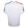 Men's Crystal Palace Third Away Replica Soccer Jersey 2025/26