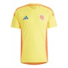Men's Colombia Home Replica Soccer Jersey Copa America 2024