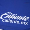 Men's Pumas UNAM Away Replica Soccer Jersey 2025/26