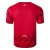 Men's Lille OSC Home Replica Soccer Jersey 2025/26 Men's Lille OSC Home Replica Soccer Jersey 2025/26