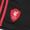 Kid's Liverpool Away Soccer Jersey Kit 2025/26
