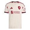 Men's Liverpool Away Replica Soccer Jersey 2025/26