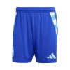Men's Argentina Away Jersey Kit 2024