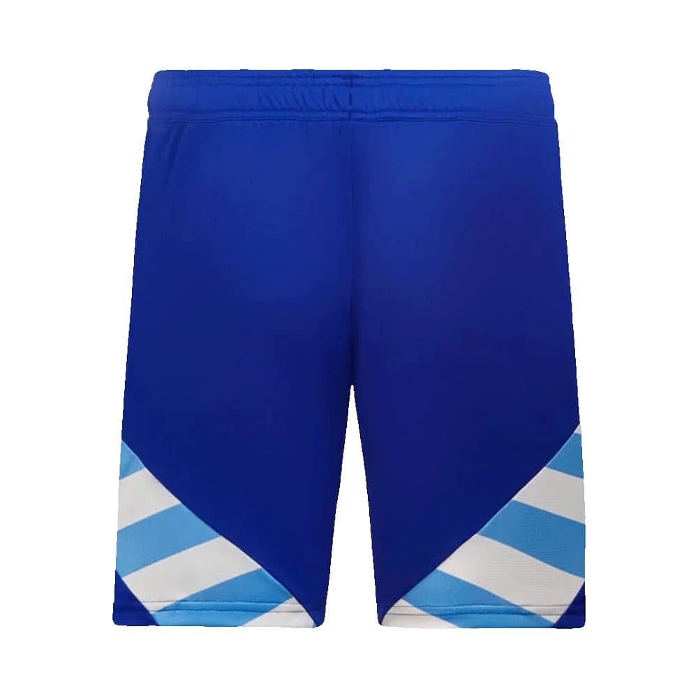 Men's Argentina Away Jersey Kit 2024