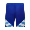 Men's Argentina Away Jersey Kit 2024