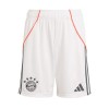 Men's Bayern Munich Away Soccer Shorts 2025/26 Men's Bayern Munich Away Soccer Shorts 2025/26