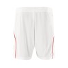 Men's Bayern Munich Away Soccer Shorts 2025/26 Men's Bayern Munich Away Soccer Shorts 2025/26