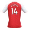 Men's GYÖKERES #14 Arsenal Home Replica Soccer Jersey 2025/26 Men's GYÖKERES #14 Arsenal Home Replica Soccer Jersey 2025/26