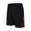 Men's Chelsea Third Away Soccer Shorts 2024/25
