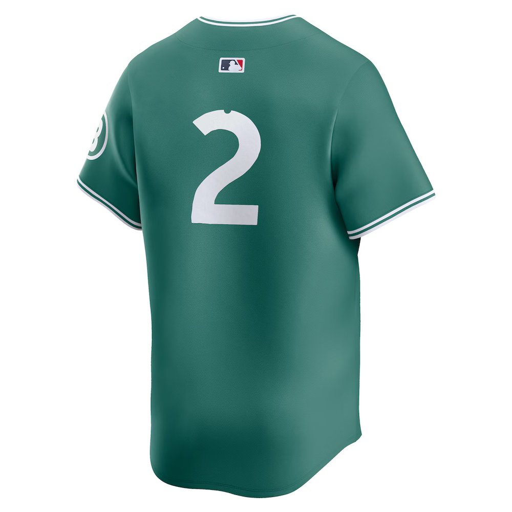 Men's Boston Red Sox #2 Alex Bregman Green 2025 City Connect Limited Player Jersey