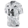 Men's Detroit Lions #14 Amon-Ra St. Brown Arctic Camo 2024 Salute to Service Limited Jersey